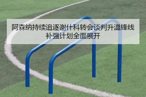 阿森纳持续追逐谢什科转会谈判升温锋线补强计划全面展开